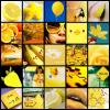 Yellow Collage 