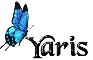 Blue Butterfly - Yaris