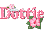 Pink Hibiscus: Dottie