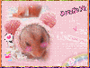 cute hamster (640X480)