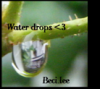 water drops avatar