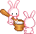 bunny cooks