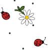 Ladybugs Background