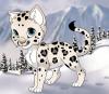 snowleopard_kitty