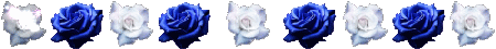 rosas blancas y azules