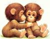 baby monkeys so damn cute