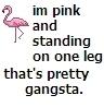 gansta flamingo