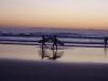 Surfers dusk