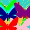 Radical Rainow Butterflies