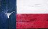 LongHorn Texas Flag