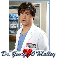Grey's Anatomy - Dr. George O'Malley