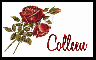 Roses for Colleen