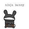 ninja bunny