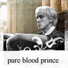 pure blood prince