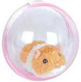 Hamster in a Bubble!