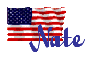 Nate - American Flag