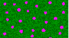 Green bg with pink dots