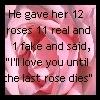 12 Roses