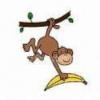 monkey with banana while hanging on a tree