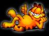 Garfield - black