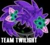 shaymin team twilight