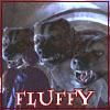 Harry, Feed Fluffy