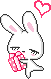 bunny 