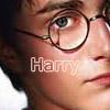 Harry Hottie