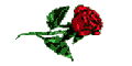 rose for LISA