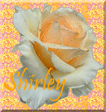 shirley