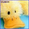 cute quack