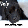 Stop AnimalAbuse