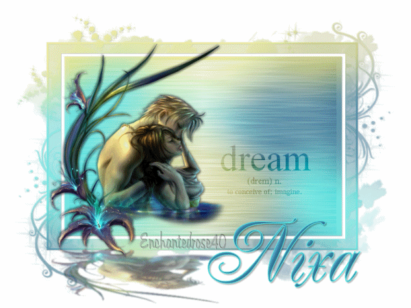 DREAM TAG