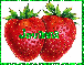 strawberries jovanna