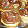 Chocolate Frosted Cupcakes