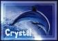 dolphin for crystal