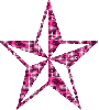pink leopard star