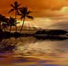Hawaiin Dream