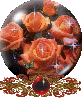 orange roses globe