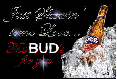 Bud Light-Showin Some Love