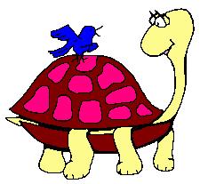 girl turtle red with bird