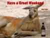 Beer drinking weekend kangaroo