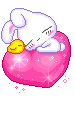 cute rabbit