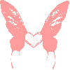 pink  butterfly heart