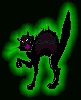 green neon black cat
