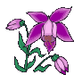 7713w4ohe0nwwi.gif