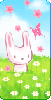 BUNNY WITH BUTTERFLIES