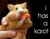 hamster with a carrot