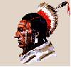 Profile Indian warrior