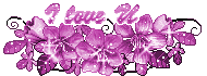 cute violet flowers